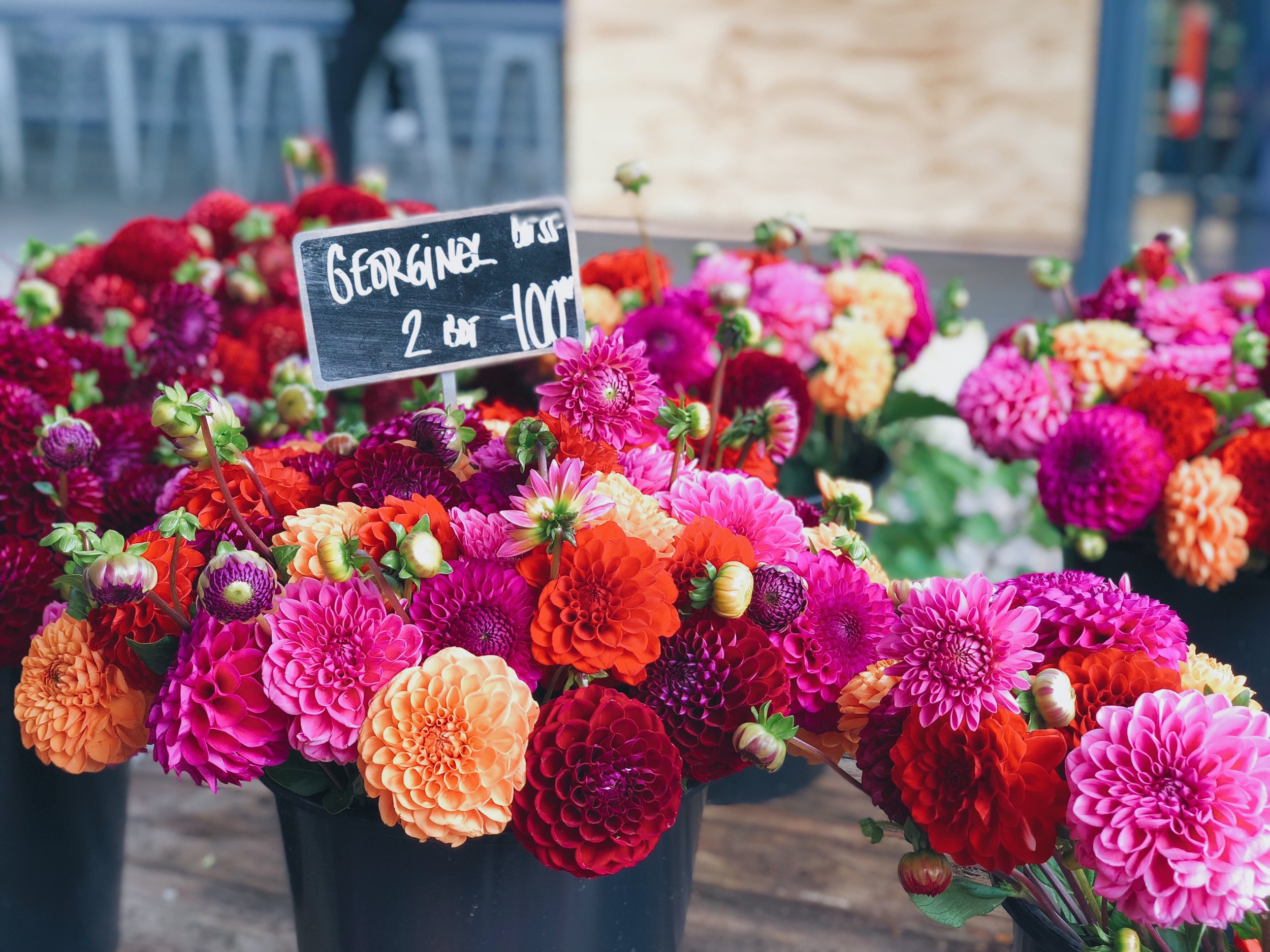 torvehallerne food hall flowers - foods of copenhagen food tour review - travelhappy luxury hawaii travel agency