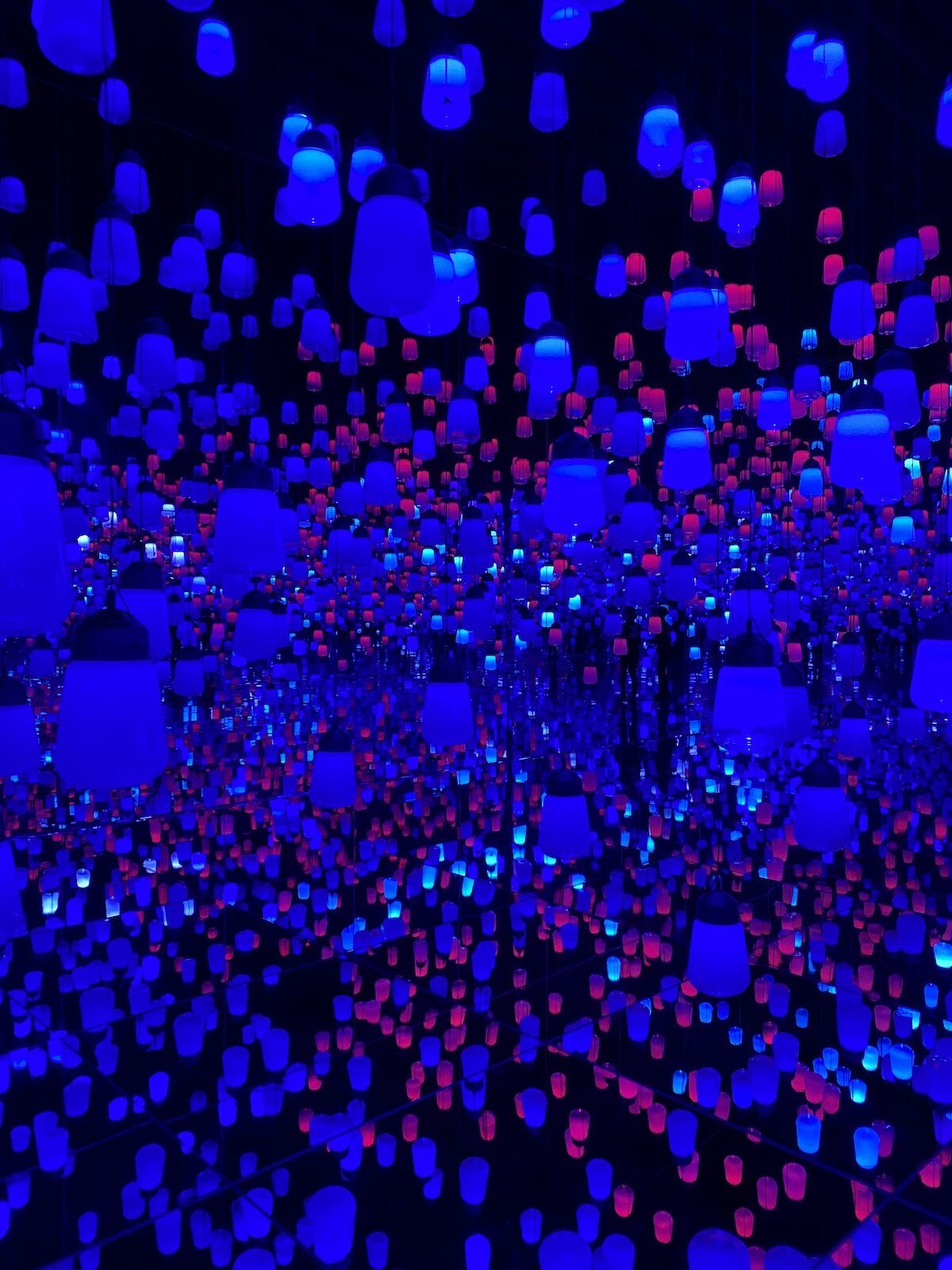 Tips for Visiting TeamLab Borderless at the Mori Digital Art Museum in Tokyo